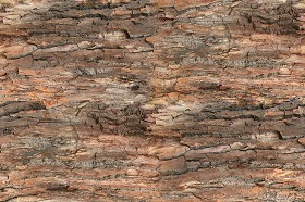 Textures   -   NATURE ELEMENTS   -  BARK - Bark texture seamless 12343