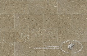 Textures   -   ARCHITECTURE   -   TILES INTERIOR   -   Marble tiles   -  Green - Fossil green marble floor tile texture seamless 19142