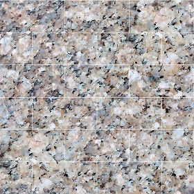 Textures   -   ARCHITECTURE   -   TILES INTERIOR   -   Marble tiles   -  Granite - Granite marble floor texture seamless 14370
