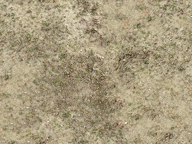 Textures   -   NATURE ELEMENTS   -   SOIL   -  Ground - Ground texture seamless 12846