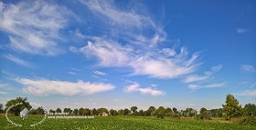 Textures   -   BACKGROUNDS &amp; LANDSCAPES   -  SKY &amp; CLOUDS - Sky with rural background 17920