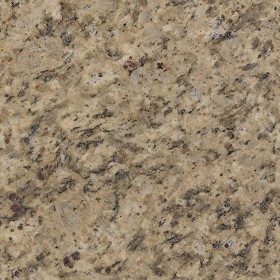 Textures   -   ARCHITECTURE   -   MARBLE SLABS   -  Granite - Slab granite marble texture seamless 02154