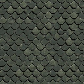 Textures   -   ARCHITECTURE   -   ROOFINGS   -  Slate roofs - Slate roofing texture seamless 03931