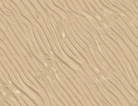 Textures   -   NATURE ELEMENTS   -   SAND  - Beach wet sand texture seamless 12736 (seamless)