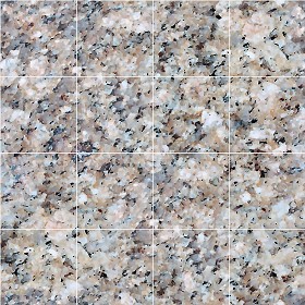 Textures   -   ARCHITECTURE   -   TILES INTERIOR   -   Marble tiles   -  Granite - Granite marble floor texture seamless 14371