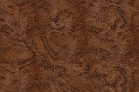 Textures   -   ARCHITECTURE   -   WOOD   -   Fine wood   -   Medium wood  - Bubinga wood fine medium color texture seamless 04436 (seamless)