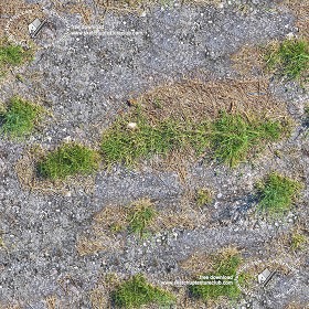 Textures   -   ARCHITECTURE   -   ROADS   -  Asphalt damaged - Damaged asphalt with grass texture seamless 18734