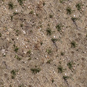 Textures   -   NATURE ELEMENTS   -   SOIL   -   Ground  - Ground texture seamless 12848 (seamless)