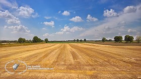 Textures   -   BACKGROUNDS &amp; LANDSCAPES   -   NATURE   -  Countrysides &amp; Hills - Plowed land countrysides landscape texture 17960