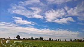Textures   -   BACKGROUNDS &amp; LANDSCAPES   -  SKY &amp; CLOUDS - Sky with rural background 17922