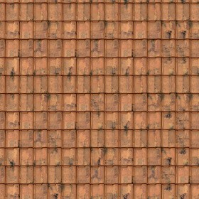 Textures   -   ARCHITECTURE   -   ROOFINGS   -  Clay roofs - Clay roofing Renaissance texture seamless 03379
