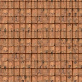 Textures   -   ARCHITECTURE   -   ROOFINGS   -   Clay roofs  - Clay roofing Renaissance texture seamless 03379 (seamless)