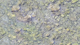 Textures   -   NATURE ELEMENTS   -   WATER   -  Streams - Water with stone and fish texture seamless 17903