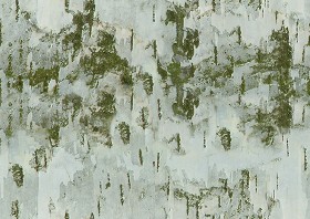 Textures   -   NATURE ELEMENTS   -   BARK  - Bark texture seamless 12347 (seamless)