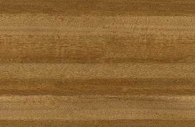 Textures   -   ARCHITECTURE   -   WOOD   -   Fine wood   -   Medium wood  - Afromosia wood fine medium color texture seamless 04439 (seamless)