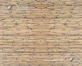 Textures   -   NATURE ELEMENTS   -  BAMBOO - Bamboo fence texture seamless 19066