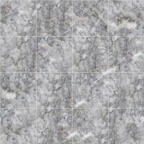 Textures   -   ARCHITECTURE   -   TILES INTERIOR   -   Marble tiles   -  Grey - Carnico grey marble floor tile texture seamless 14495