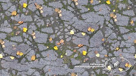 Textures   -   ARCHITECTURE   -   ROADS   -  Asphalt damaged - Damaged asphalt with dead leaves and moss texture seamless 19255