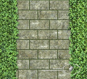 Textures   -   ARCHITECTURE   -   PAVING OUTDOOR   -   Parks Paving  - Dirty concrete park paving texture seamless 18704 (seamless)