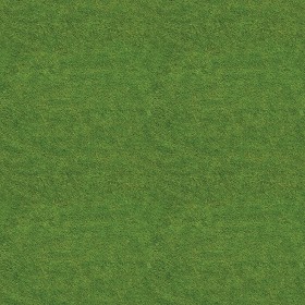 Textures   -   NATURE ELEMENTS   -   VEGETATION   -  Green grass - Green grass texture seamless 13007