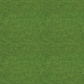 Textures   -   NATURE ELEMENTS   -   VEGETATION   -   Green grass  - Green grass texture seamless 13007 (seamless)