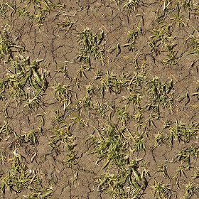 Textures   -   NATURE ELEMENTS   -   SOIL   -  Ground - Ground texture seamless 12851