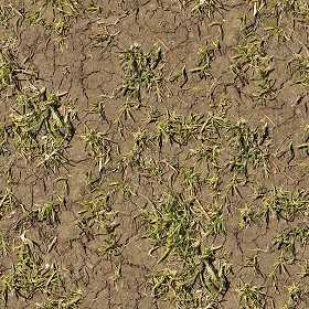 Textures   -   NATURE ELEMENTS   -   SOIL   -   Ground  - Ground texture seamless 12851 (seamless)