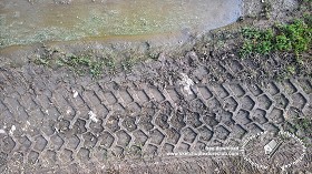 Textures   -   NATURE ELEMENTS   -   SOIL   -  Mud - Muddy ground with tire marks texture 17904