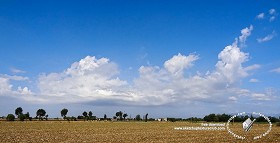 Textures   -   BACKGROUNDS &amp; LANDSCAPES   -   SKY &amp; CLOUDS  - Sky with rural background 18359