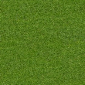 Textures   -   NATURE ELEMENTS   -   VEGETATION   -   Green grass  - Green grass texture seamless 13008 (seamless)