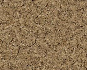 Textures   -   NATURE ELEMENTS   -   SOIL   -   Ground  - Ground texture seamless 12852 (seamless)