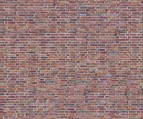 Textures   -   ARCHITECTURE   -   BRICKS   -   Old bricks  - Old bricks texture seamless 00377 (seamless)