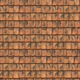 Textures   -   ARCHITECTURE   -   ROOFINGS   -   Clay roofs  - Clay roofing residence texture seamless 03383 (seamless)