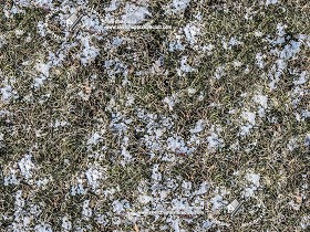 Textures   -   NATURE ELEMENTS   -  SNOW - Grass with splashes of snow texture seamless 20210