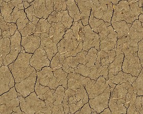 Textures   -   NATURE ELEMENTS   -   SOIL   -  Ground - Ground texture seamless 12853