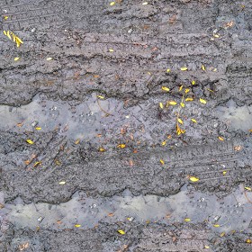 Textures   -   NATURE ELEMENTS   -   SOIL   -   Mud  - Mud with leaves texture seamless 21307 (seamless)