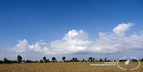 Textures   -   BACKGROUNDS &amp; LANDSCAPES   -  SKY &amp; CLOUDS - Sky with rural background 18361