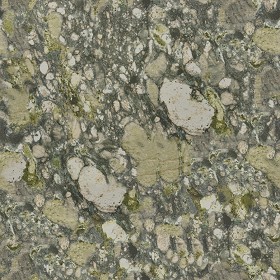 Textures   -   ARCHITECTURE   -   MARBLE SLABS   -  Green - Slab marble gaughin green texture seamless 02269