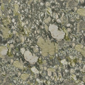 Textures   -   ARCHITECTURE   -   MARBLE SLABS   -   Green  - Slab marble gaughin green texture seamless 02269 (seamless)