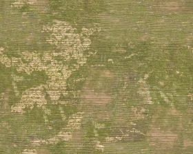 Textures   -   NATURE ELEMENTS   -   BARK  - Bark texture seamless 12351 (seamless)