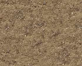 Textures   -   NATURE ELEMENTS   -   SOIL   -  Ground - Ground texture seamless 12854