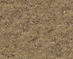 Textures   -   NATURE ELEMENTS   -   SOIL   -   Ground  - Ground texture seamless 12854 (seamless)