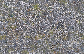 Textures   -   ARCHITECTURE   -   ROADS   -   Paving streets   -   Rounded cobble  - Rounded cobblestone texture seamless 17679 (seamless)