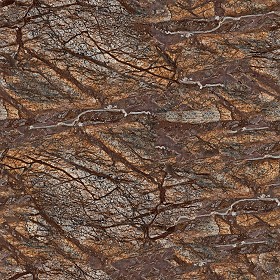Textures   -   ARCHITECTURE   -   MARBLE SLABS   -  Brown - Slab marble brown picasso texture seamless 02012
