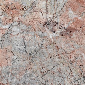 Textures   -   ARCHITECTURE   -   MARBLE SLABS   -   Grey  - Slab marble carnico grey texture 02343
