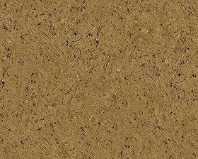 Textures   -   NATURE ELEMENTS   -   SOIL   -  Ground - Ground texture seamless 12855
