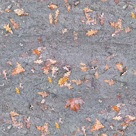 Textures   -   NATURE ELEMENTS   -   SOIL   -   Mud  - Mud with leaves texture seamless 21310 (seamless)