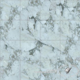 Textures   -   ARCHITECTURE   -   TILES INTERIOR   -   Marble tiles   -   Green  - Sea green marble floor tile texture seamless 19151 (seamless)