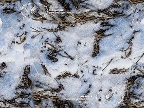 Textures   -   NATURE ELEMENTS   -  SNOW - Field with snow texture seamless 20213