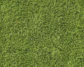 Textures   -   NATURE ELEMENTS   -   VEGETATION   -  Green grass - Green grass texture seamless 13012